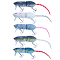 Miniatyrbilde 7 av 10: Fiskesluk Rotteagn AA A A