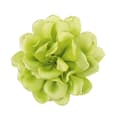 Romantisk Ros Brosch Tyg Ros Blomma Pin-up Brosch GRÖN green