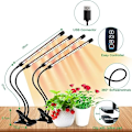 Miniatyrbilde 2 av 6: COKOLILA 2-pakning LED Vekstlys - Fullspektrum Plantelys, Timer & 10 Lysstyrkenivåer - Perfekt for Innendørsplanter [Energiklasse A+++]