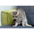 Miniatyrbild 3 av 5: TG 5 st (färg) plysch imitation mus Katt Rolig själv-slående katt leksak, lek