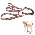 Hundkoppel halsband set hundkoppel