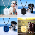 Miniatyrbild 5 av 5: Minicremation Cremation Smycken Urn Halsband för Ashes for Pet, P