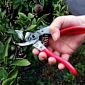 Miniatyrbillede 3 af 4: Vs-8z, beskæresaks, Ars-vs-8xz