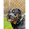 Miniatyrbillede 3 af 5: STARK Trådkurv Metal Hundekurv Rottweiler, Mastiff Golden Retriever & andre (R1, Sort/Sort Læder)
