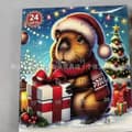 Adventskalender med Kapybara (Flerfärgad) (A) A