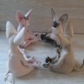 Miniatyrbilde 5 av 8: Sphynx Katt Mediterende Statue Søt Hårløs Katt Yoga Sittende Samleobjekt Figur for Rom Skrivebord Dekor Black