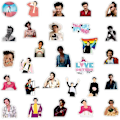 Miniatyrbillede 3 af 5: 50 stk Pop Sange Harry Great Styles Klistermærker Merch Gaver Æstetiske Vandfaste Vinyl Klistermærker Til Vandflaske, Scrapbog, Laptop