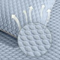Miniatyrbilde 5 av 5: Naturlige Bokhvetefylte Puter Materiale Luktfri Ikke-kollapsende for Side...