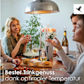 Miniatyrbild 5 av 7: 4-pack vinkylare i rostfritt stål med kylstav och luftningsfunktion