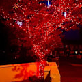 Miniatyrbilde 5 av 5: Ljusa 66FT 200 LED Julelys, Julelysslynger Koble Rød Red 400 LED