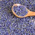 Miniatyrbillede 5 af 5: 25 Tørrede Lavendelposer - Naturlige Aromatiske Lavendelblomster [ZHE]