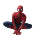 Raimi Spider-Man Børne- og Voksenkostume Cosplay Maskeradekostume Gave
