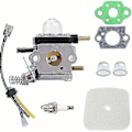 Pikkukuva 1 / 5: Mantis-perämoottorin osat C1u-k54a kaasutin ja ilmansuodatin Repower-sarja Mantis 2-tahti 7222 7222e 7222m 7225 7230 7234 7240 7920 7924 -wf