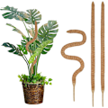Miniatyrbild 3 av 5: 4 st Monstera Mossstöd för inomhusväxter, böjbara växtstöd
