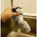 Miniatyrbild 4 av 5: Electronic Interactive Flying Bird Cat Toy Hanging Pet Teasing Fluttering Wings Sparrow