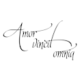 Miniatyrbild 2 av 2: Amor vincit omnia Väggdekor Väggord Väggtext Dekor