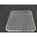 Miniatyrbillede 1 af 5: 10 stk. transparente sterile plastik petriskåle, videnskabelige skåle til celledyrkning, laboratorieudstyr til analyse (10*10 cm)