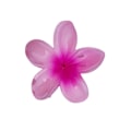 Pikkukuva 5 / 5: 6 kpl keinotekoista Bauhinia-kukkahiuspidikettä, Plumeria-kukkahiusneula kylpyhiuspidikelevy hiusneula hiuslisävarusteet, violetti onnekas
