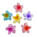 Pikkukuva 1 / 5: 6 kpl keinotekoista Bauhinia-kukkahiuspidikettä, Plumeria-kukkahiusneula kylpyhiuspidikelevy hiusneula hiuslisävarusteet, violetti onnekas