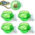 Miniatyrbild 1 av 4: Pack Reptilmatnings- och vattenskål, Reptilsugkopp Reptilmatningsskål Kameleont Skål Genomskinlig Reptilväggslist Matningsskål För Ödla Kameleont