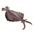 Miniatyrbillede 3 af 5: Realistisk statisk havdyr model legetøj børn gave Anomalocaris