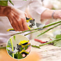 Miniatyrbilde 2 av 4: Diy manuelle saks, beskjæringssaks, blomstersaks, rustfritt stål saks