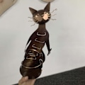 Miniatyrbillede 3 af 5: Sød Kat Metal Vin Stativ Universal Vinflaske Display Stativ Retro Vinskab Dekoration Bronze