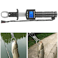 Miniatyrbild 3 av 4: Digital våg fiskegrepp rostfritt stål fisk läpp gripare elektronisk viktskala