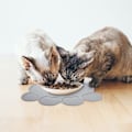 Miniatyrbillede 3 af 5: Fodermåtte til kæledyr, katte- og hundefodermåtte, silikone skål måtte, skridsikker, vandtæt, grå
