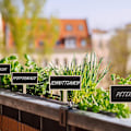 Pikkukuva 4 / 4: Istutusmerkit Mini-kyltti Puiset kasvimerkit Mini-liitutaulut Puutarhakukat ja kasvien etiketit Gree