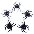 Pikkukuva 3 / 5: Teko hämähäkit 10 kpl, realistiset muoviset teko hämähäkit Halloween temppulelut koristeelliset rekvisiitat (musta)