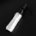 Miniatyrbillede 5 af 5: 3x Transparent paraply Automatisk paraply Regn Kvinder Mænd Sol Regn Auto Paraply Transparent + Sort