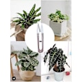 Miniatyrbilde 4 av 5: Bonsai beskjæringssaks Beskjæringssaks Saks for knopp og blader Trimmer Garn Trådkutter Mini Små Saks Trimming DIY Supplie(6stk, Flerfarget)