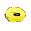 Pikkukuva 1 / 5: Fossils Insect Samples Artificial Insect Science Education, Cicada