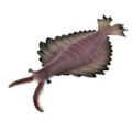 Miniatyrbillede 2 af 5: Realistisk statisk havdyr model legetøj børn gave Anomalocaris