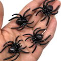 Pikkukuva 5 / 5: Teko hämähäkit 10 kpl, realistiset muoviset teko hämähäkit Halloween temppulelut koristeelliset rekvisiitat (musta)