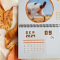 Miniatyrbild 5 av 5: 2 st 2024 Kalender Väggkalender 2024, Jan. 2024 - Dec. 2024, 2024 Kalender Katter Buttholes Kalender