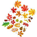 Miniatyrbilde 1 av 5: Høst veggklistremer Thanksgiving klistremerer blad høstblader dekorasjoner Thanksgiving klistremerke