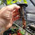 Miniatyrbillede 2 af 5: 100 stk. 1,77 tommer netkopper med slidset mesh bred læbe filter plante netpot spand kurv til hydroponisk