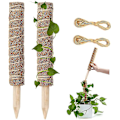 Miniatyrbillede 1 af 4: Mosstang 2 stk. 16 tommer Monstera Kokos Totem Mosstænger til planter Monstera