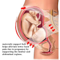 Miniatyrbild 3 av 4: Maternity Support Belt Rtdep Graviditetsbälte Stöd Brace Graviditetsbälte, Rygg/midja