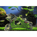 Miniatyrbillede 2 af 4: Akvarietræstamme dekoration, harpiks til akvariumsdekoration, til at skjule rejer og fisk Landskabs klippehule Træer Akvariumsdekoration...