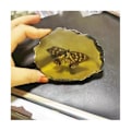 Pikkukuva 3 / 5: Fossils Insect Samples Artificial Insect Science Education, Cicada