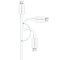 Miniatyrbillede 3 af 3: Kabel til Archos Access 55 3G/Access 57/Core 50/Core 50P/Core 55 4G/Core 55P - Hvid micro usb-kabel 2 Meter Phonillico Vit