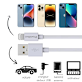Miniatyrbild 4 av 6: Lot 3 Kabel 20 cm USB Lightning Laddare Vit för iPhone 14/14 PLUS/14 PRO/14 PRO MAX / 13 /13 MINI/13 PRO/13 PRO MAX Phonillico
