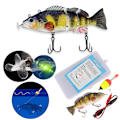 Miniatyrbilde 1 av 8: Elektrisk agn Svømming Robotsegment Fiskesluk USB Lading Svømmeagn qd 0.2