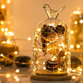 Miniatyrbild 4 av 5: Led String Lights, Mini batteridriven koppartråd Starry Fairy Lights, batteridriven