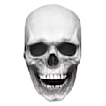 Miniatyrbillede 1 af 7: Halloween Voksen Latex Maske 3D Helhoved Skelet Maske Kranie light color