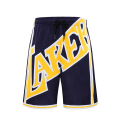 Miniatyrbillede 2 af 2: Nba Retro Basketballshorts Unisex sportshorts Studenter laker navy M