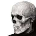 Miniatyrbillede 3 af 7: Halloween Voksen Latex Maske 3D Helhoved Skelet Maske Kranie light color